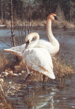 swans in water birds Oil Paintings